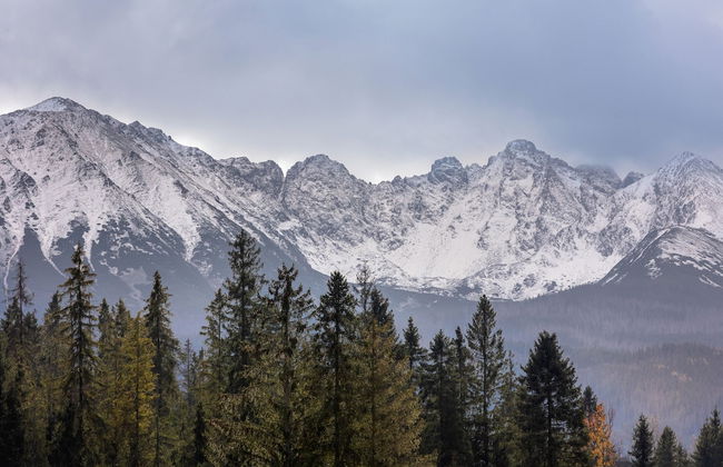 Gutowa Mountain Corner by Renters - Foto 29