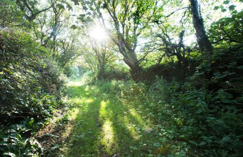 Bangeston Barn - Foto 13