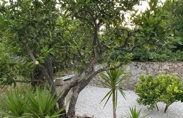 Marco Polo House - Foto 23