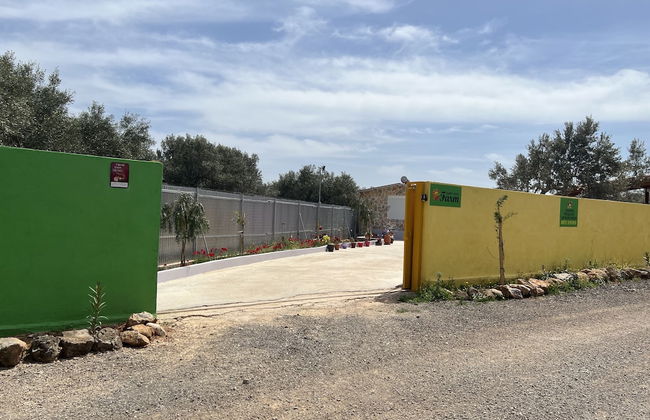 Ecological Studio Flat in Kalyvia Thorikou, Greece - Foto 31