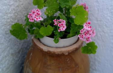 George & Dimitra's House - Foto 24