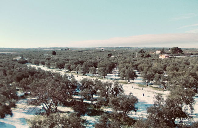 Masseria Chiusurella - Photo 48