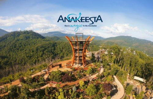 Keener Hollow Family Retreat Hot Tub Sauna Near Pigeon Forge - Photo 69