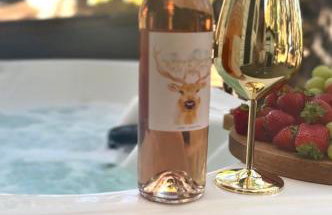 The Scandia “A-Frame Chalet” Fireplace & Hot tub - Foto 42