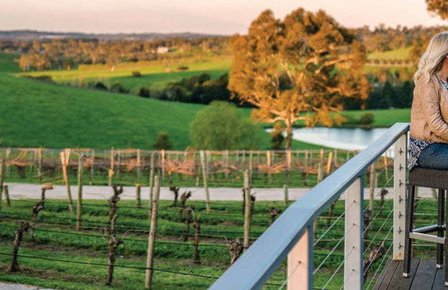 Hop On Hop Off Wine Bus - Photo 1