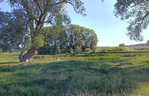 Smocze Ranczo 2 - Foto 64