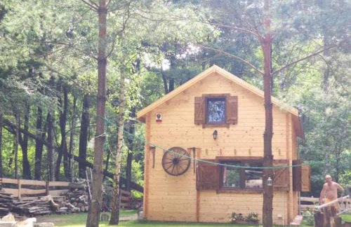 Przystań Zakapiora - Foto 11