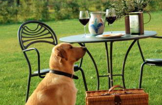 Agriturismo Ristorante Monte Argentario - Foto 76