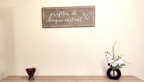 Les Randogodilleurs avec Jacuzzi à 2kms des pistes et 350m du Théatre du Peuple ! - Foto 5