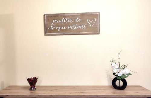 Les Randogodilleurs avec Jacuzzi à 2kms des pistes et 350m du Théatre du Peuple ! - Foto 5