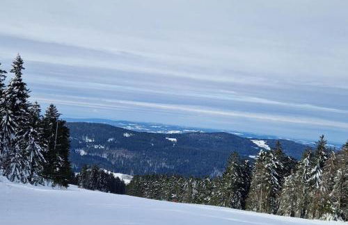 Sauna, Pools mit XXL-Terasse oder Kinderkino - Foto 59