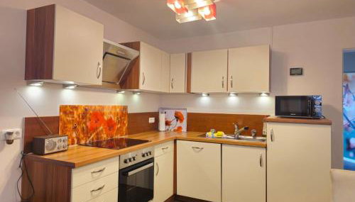 Apartment im Naturpark Steinwald by Interhome - Foto 5