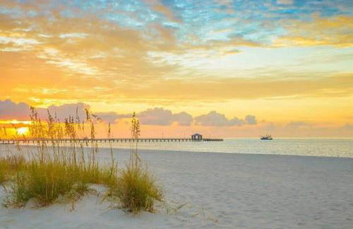 Hotty Toddy - Foto 71