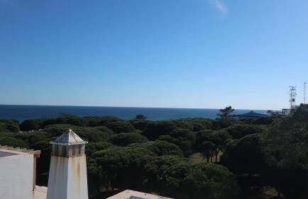 Casa Bambu, Paraiso na Terra - Foto 7