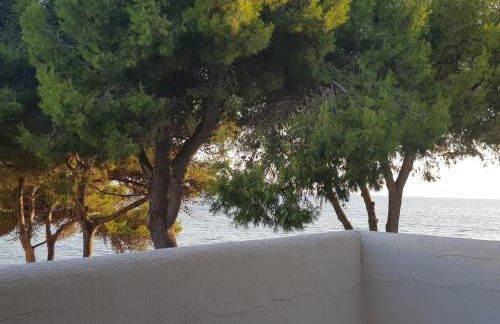 Appartamento La Caletta - Foto 44