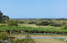 CASA PORTELA APARTAMENTOS - Foto 15