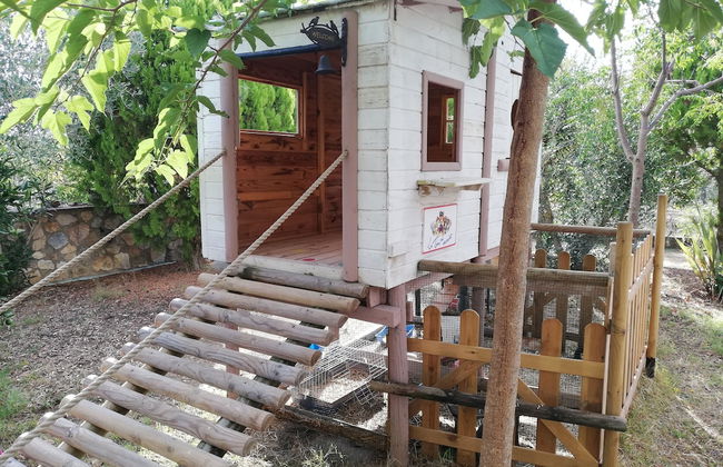 Azienda Agrituristica Le Betulle - Foto 60