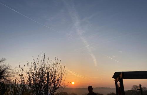 The Pigsty - Photo 19