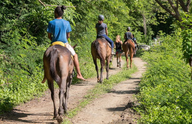 Eco Park Inn - Foto 22