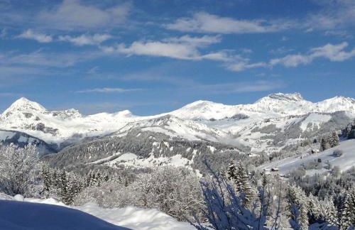 Chalets Savoie Les chalets d'Heidi - Photo 44