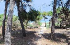 OASIS ESCAPE - Foto 15