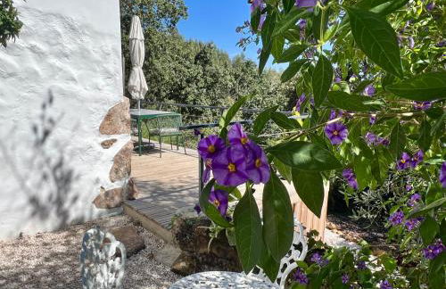 Casa Do Vale - Foto 22