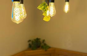 Feilchenhof - Foto 6