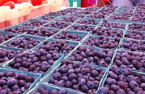 Play All Day - Sleep By The Stream at Night - Swimming Hole - Foto 7