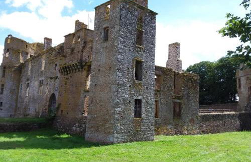 L'Orchidée - Photo 33