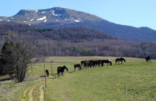 Domek Skowronek z basenem - Foto 28
