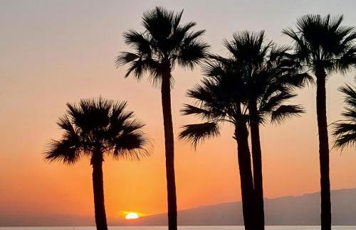 gomera view experience - Foto 14