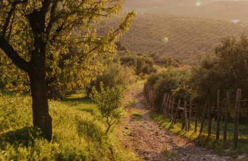 Terre Di Himera - Foto 69