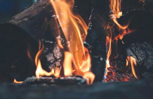 Pet-Friendly Cabin Retreat in the Ozarks of Scenic Newton County, Arkansas - Foto 23