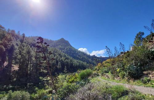 Casa Rural LOS PINARES El Juncal de TEJEDA - Foto 32