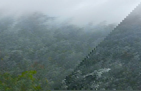 Baraka bungalov - Foto 47