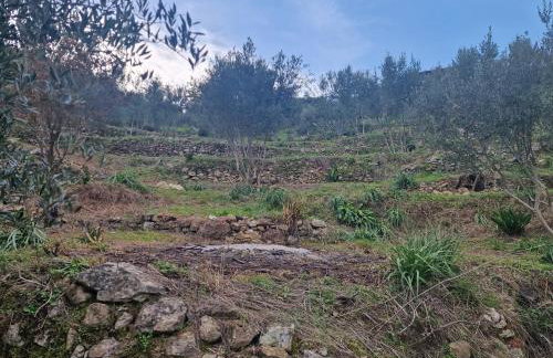 Archontoula's villa - Foto 26