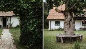 Poganty - Jałownik - Foto 5, Garden