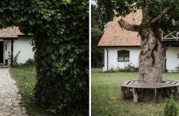 Poganty - Jałownik - Foto 5