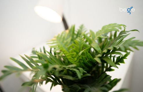 BEGE APARTMENTS LightHaus - Foto 18