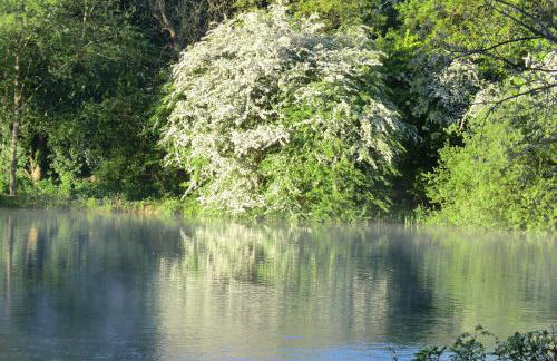 Lakeview Holidays - Foto 41