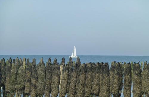 Appartement face mer - Photo 27