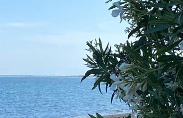 Sarra Apartment Halkidiki - Foto 25