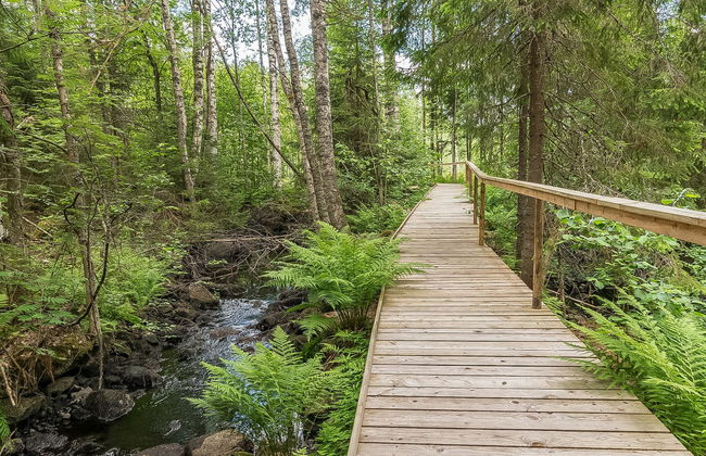 Myllytupa - Photo 11