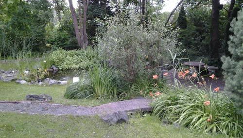 Seebach Vermietung - Foto 5, Garden view