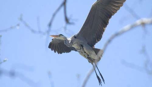 Apartment for two Only 20 m From Boruja Lake in Rekowo - Foto 5