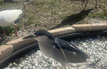 Private Tropical Waterfront Sanctuary w pool, hot tub & an island! Pet Friendly - Foto 18