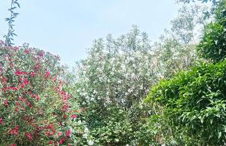 Grande chambre studio 23 m2 avec salle de bain, WC et kitchenette - Foto 7