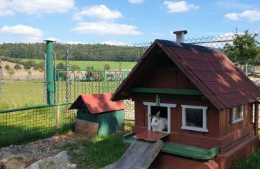 Rennerhof-Siebeneichen Fewo Frechdachs - Foto 10