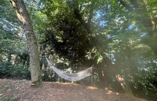 Chalet Bosco Magico Roccolo - Foto 38