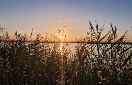 Sable & Pampas - Meublé de Tourisme 5 étoiles - Vue Panoramique & Terrasse - Climatisation - Plage à 200m - Foto 19